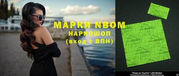 прущие грибы Саяногорск
