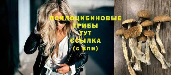 СК Верхний Тагил