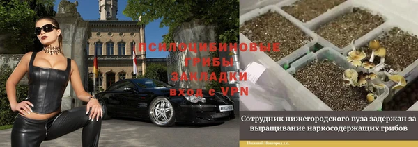 2c-b Верея